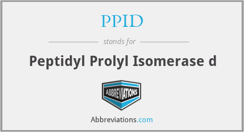 What does prolyl isomerase stand for?